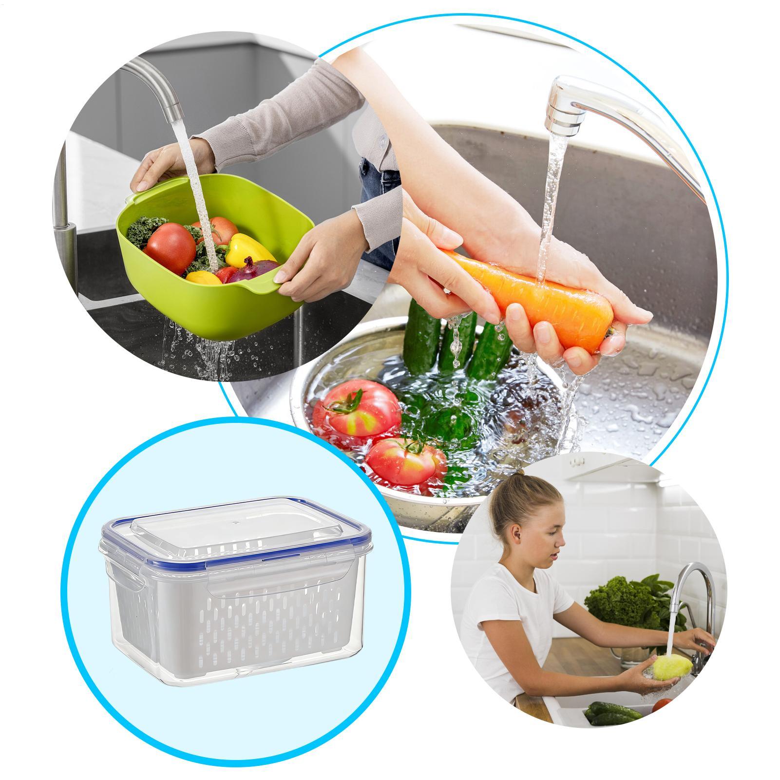 حاوية تخزين طعام 4 في 1، منظما - مراجعة Food Storage With Colander وسعره