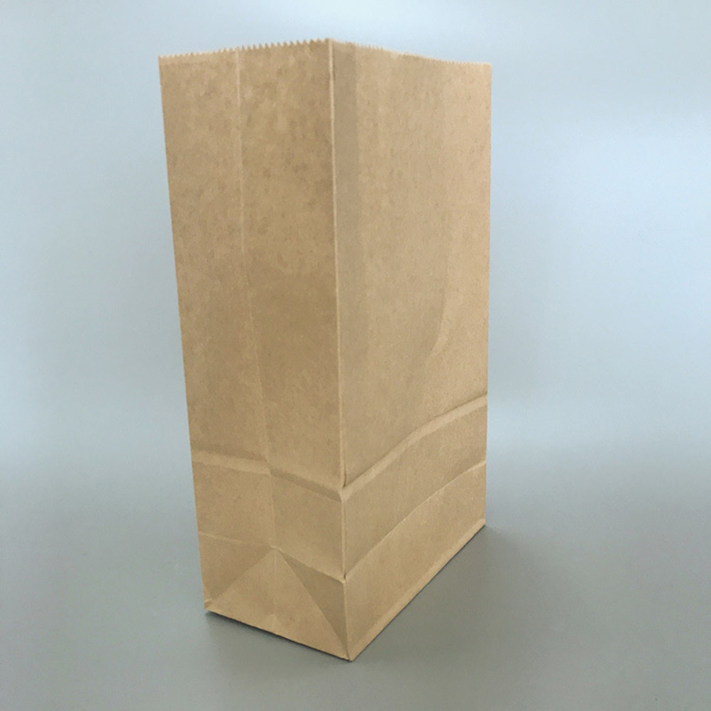 100 قطعة من أكياس الورق الكراف - مراجعة Food Storage And وسعره